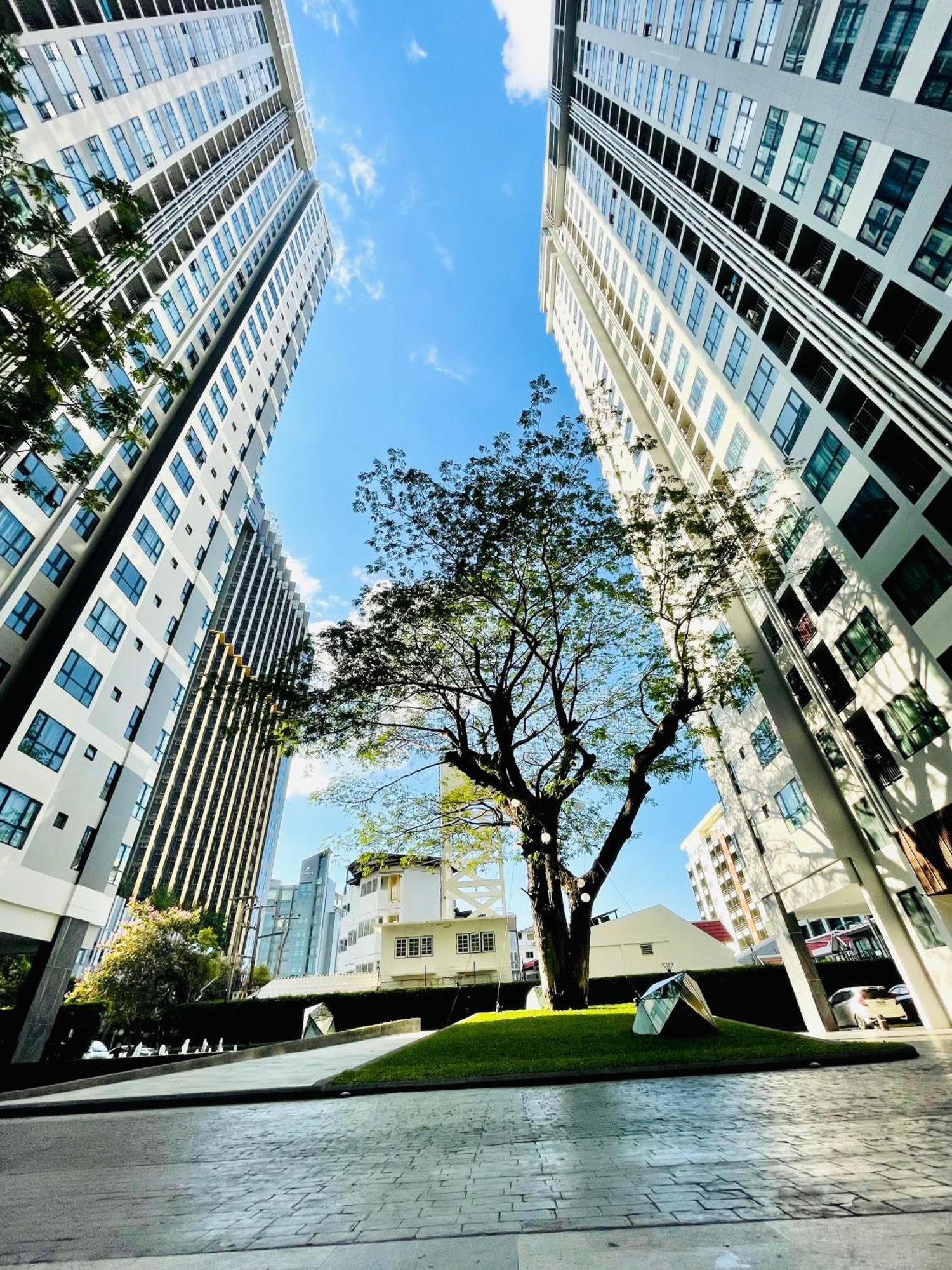 The Base 100 By Numam Pattaya